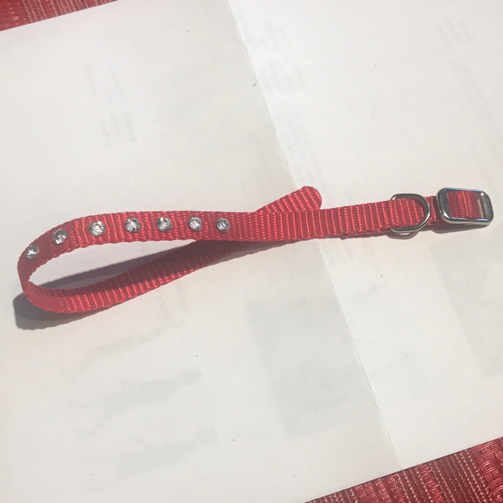 Pet Collar Red Embellished